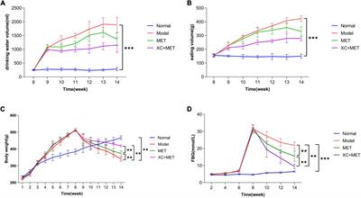 Scrophulariae Radix-Atractylodes sinensis pair and metformin inhibit inflammation by modulating gut microbiota of high-fat diet/streptozotocin-induced diabetes in rats